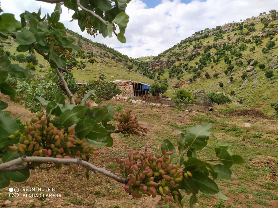 Sason Acar Köyü Resimleri 10