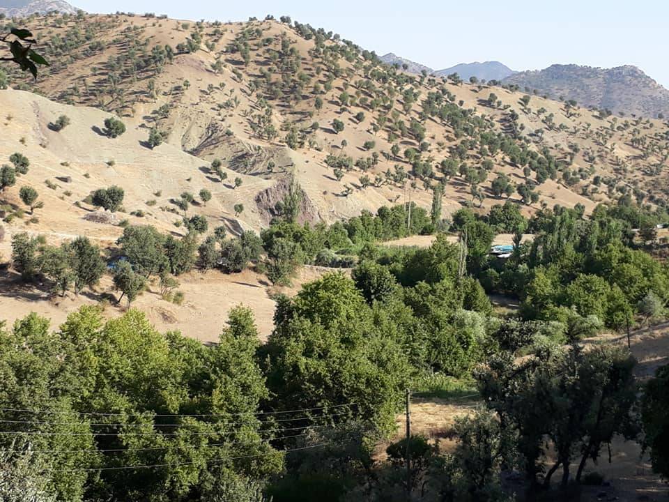 Sason Dereiçi Köyü Resimleri 5