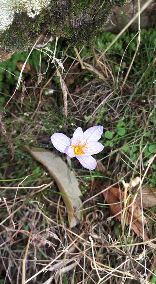 Sason Ergünü Köyü Resimleri 5