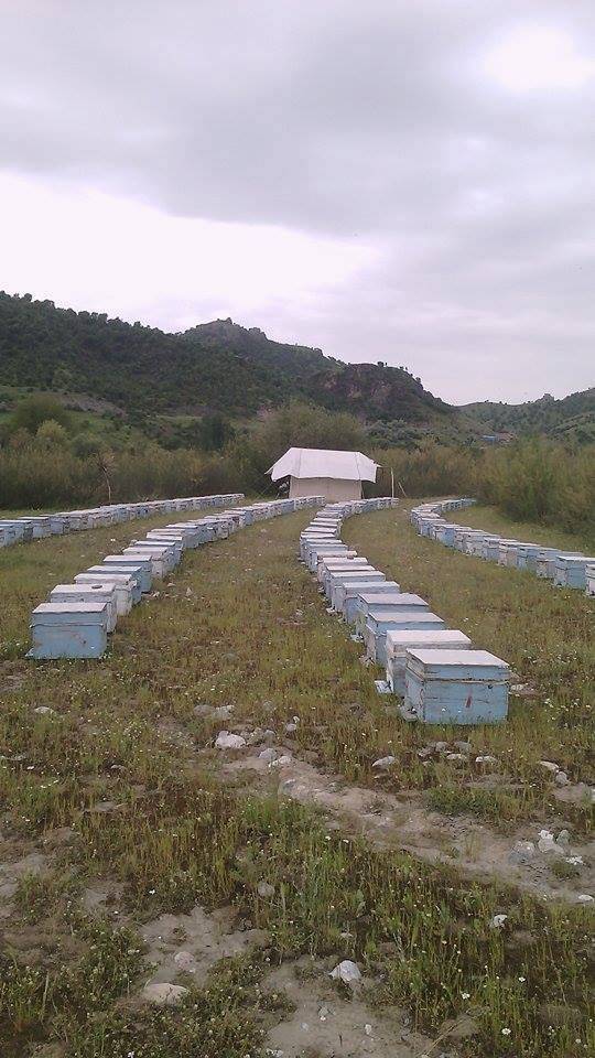 Sason Gürgenli Köyü Resimleri 2