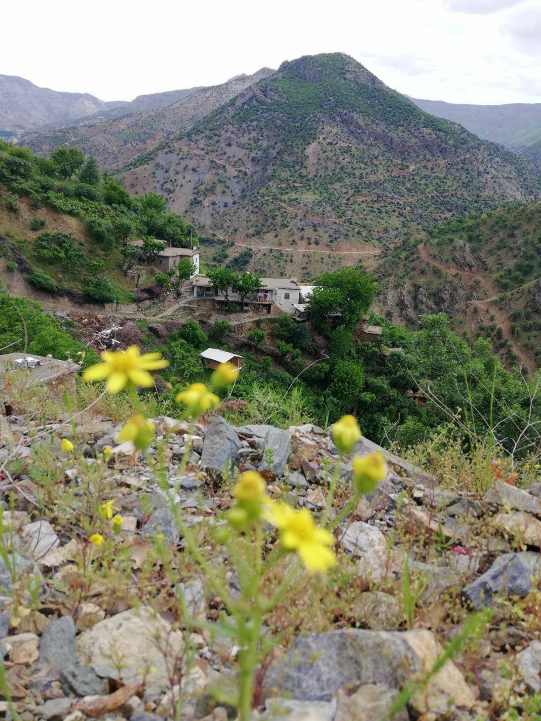 Sason Kaşyayla Köyü Resimleri 9