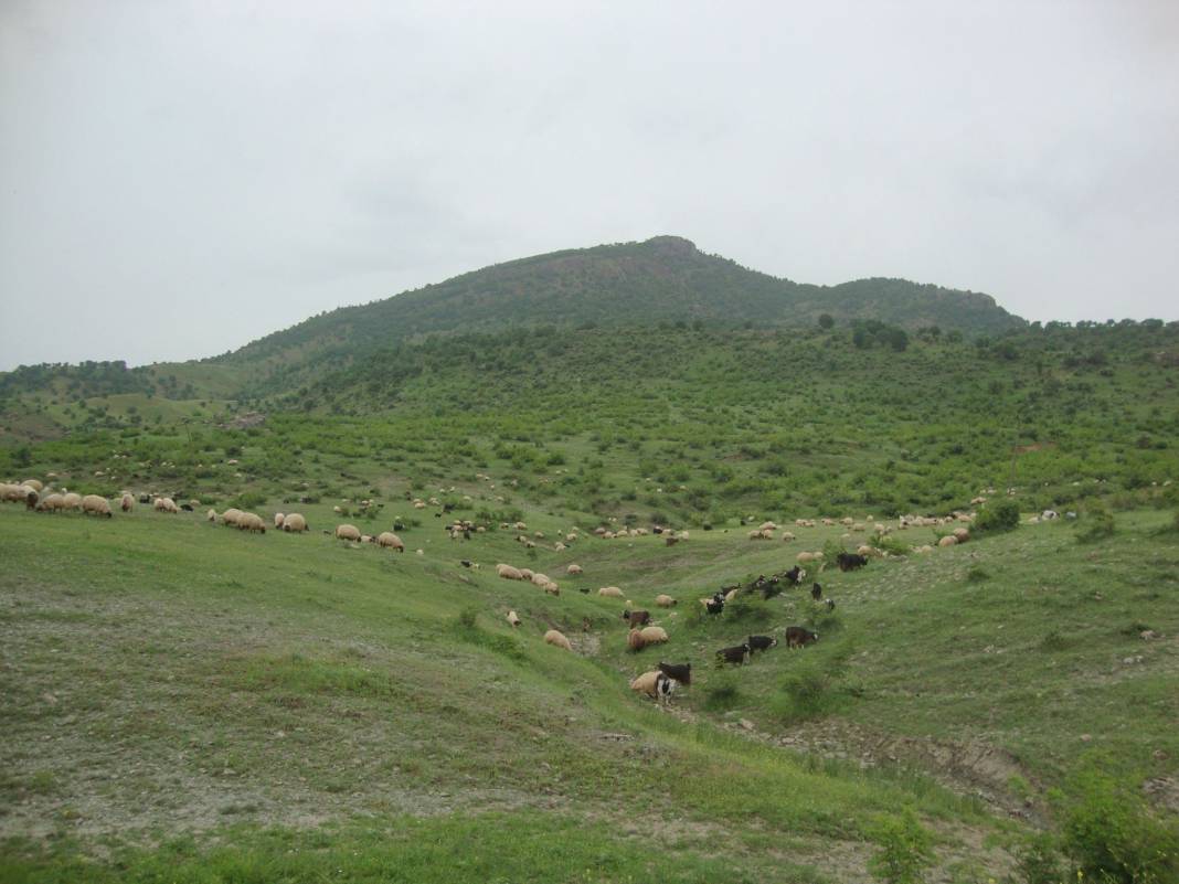 Sason Kelhasan Köyü Resimleri 2