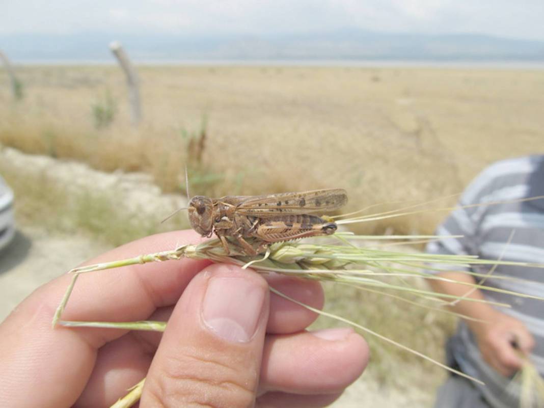 Sason Kelhasan Köyü Resimleri 4