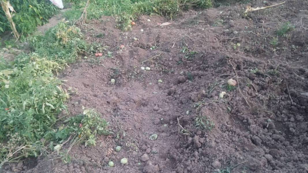 Sason Kelhasan Köyü Resimleri 5