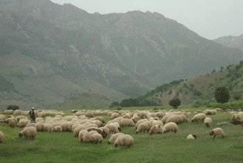 Sason Kilimli Köyü Resimleri 1