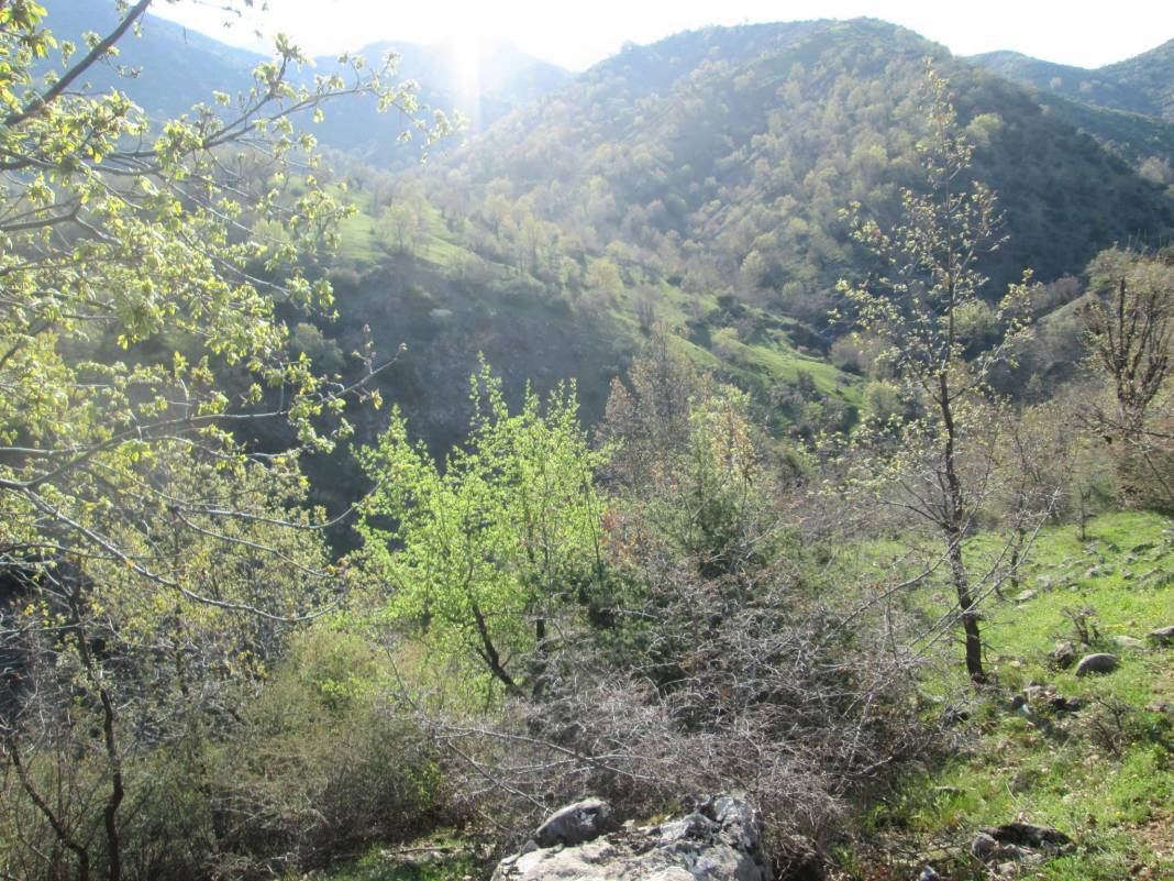 Sason Kilimli Köyü Resimleri 5