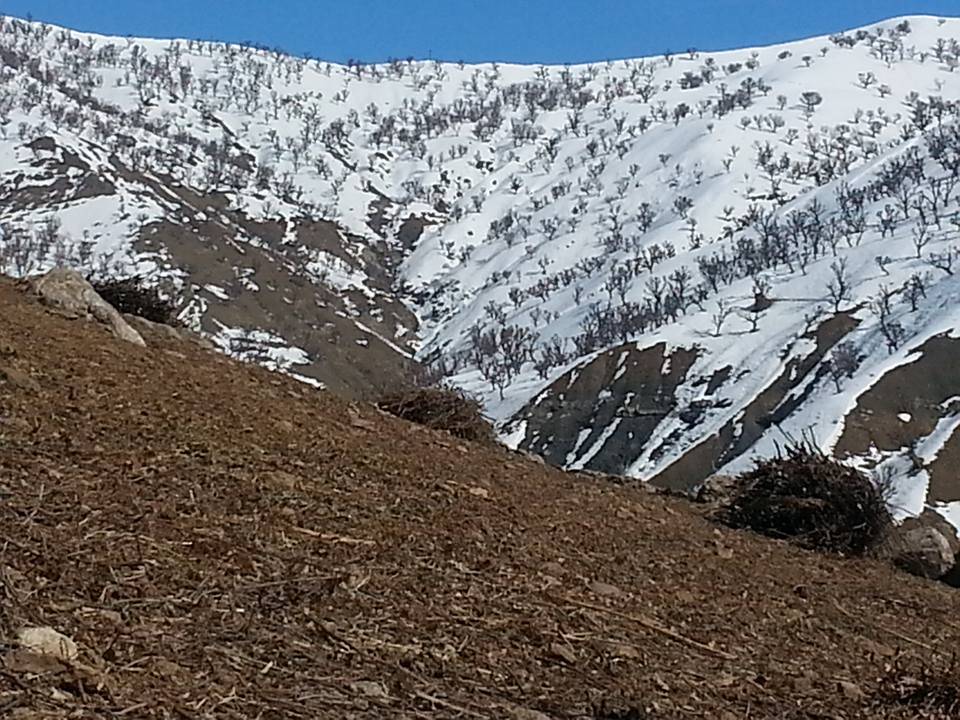 Sason Yuvalar Köyü Resimleri 2