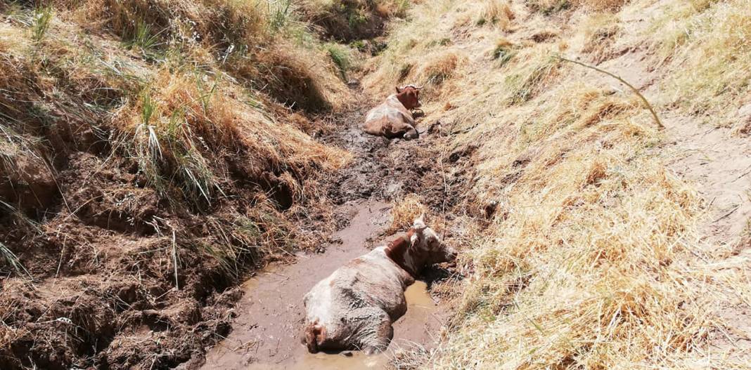 Batman Akoba Köyü  Resimleri 2
