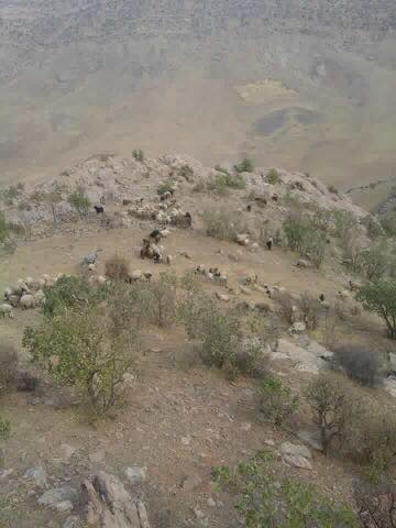 Derik Ilıca Köyü Resimleri 2