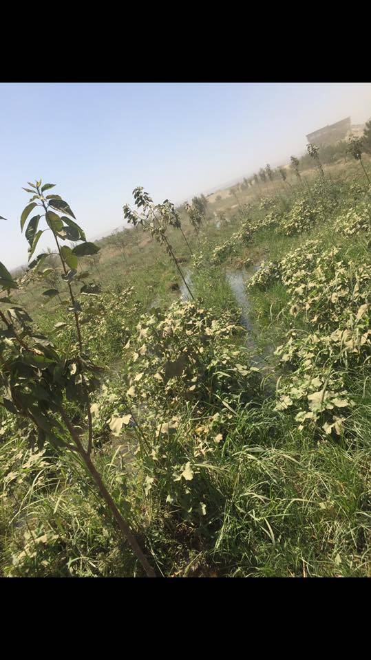 Batman Demirlipınar Köyü Resimleri 3