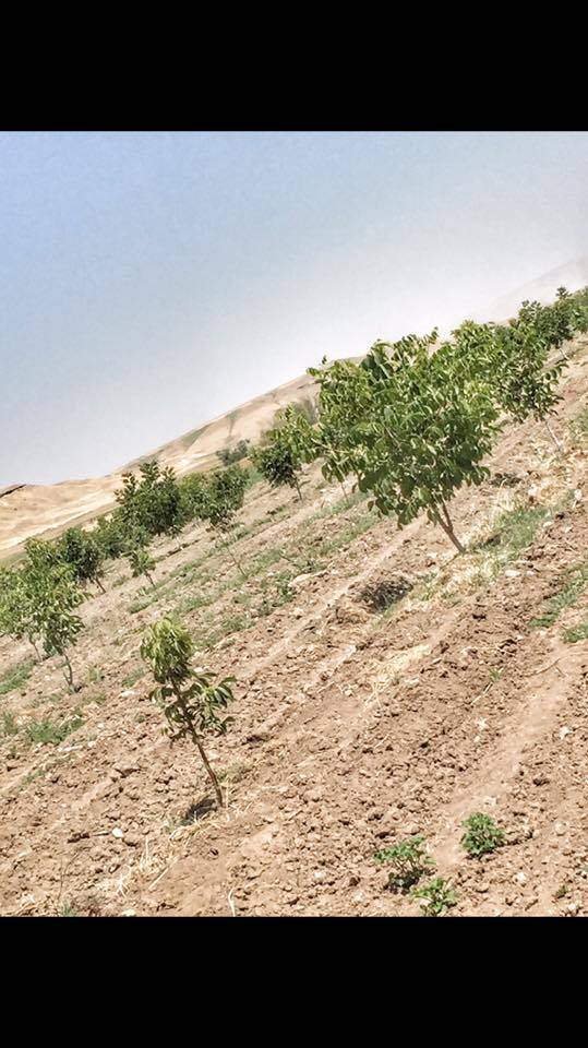 Batman Demirlipınar Köyü Resimleri 4