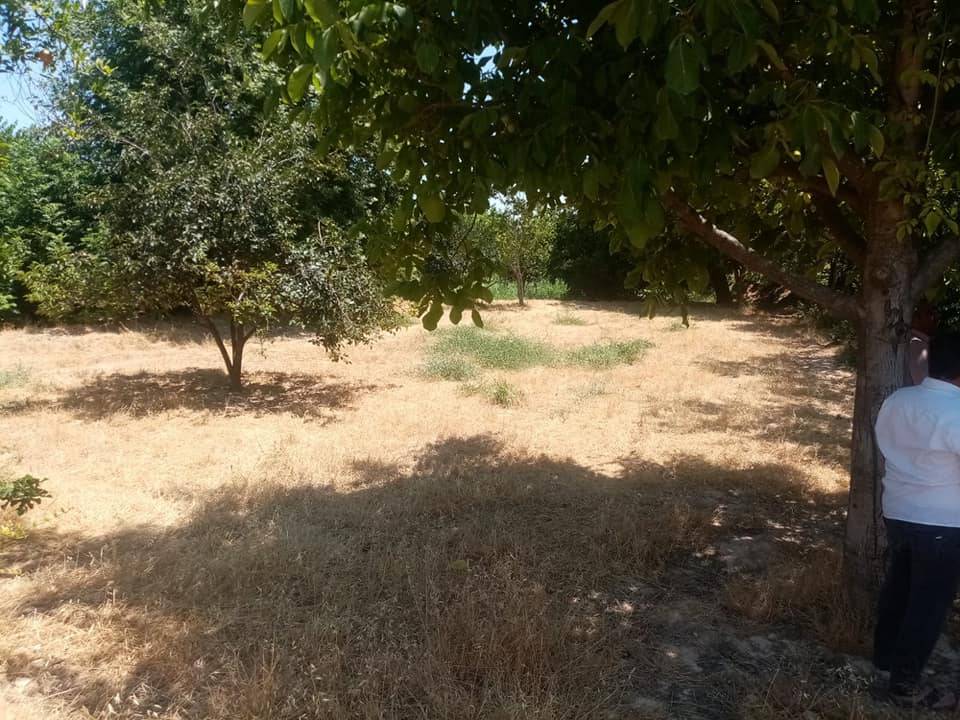 Nizip Uluyatır Köyü Resimleri 4