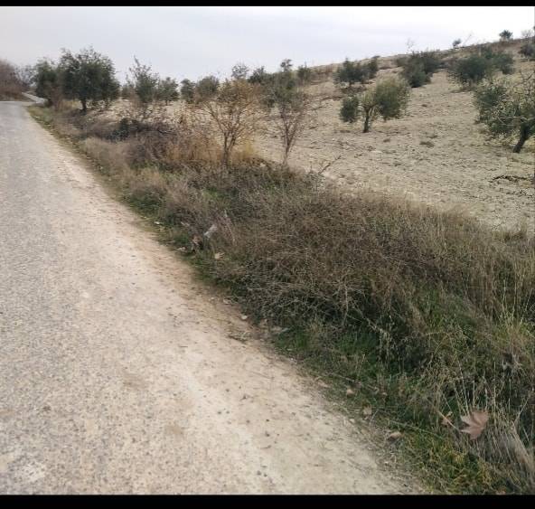 Nizip Uluyatır Köyü Resimleri 8