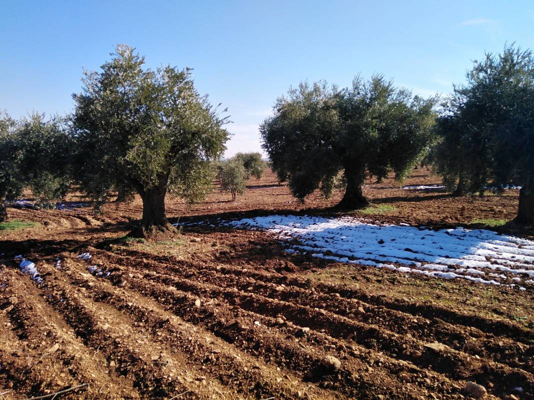 Nizip Uluyatır Köyü Resimleri 9