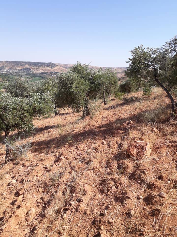 Nizip Adaklı Köyü Resimleri 2