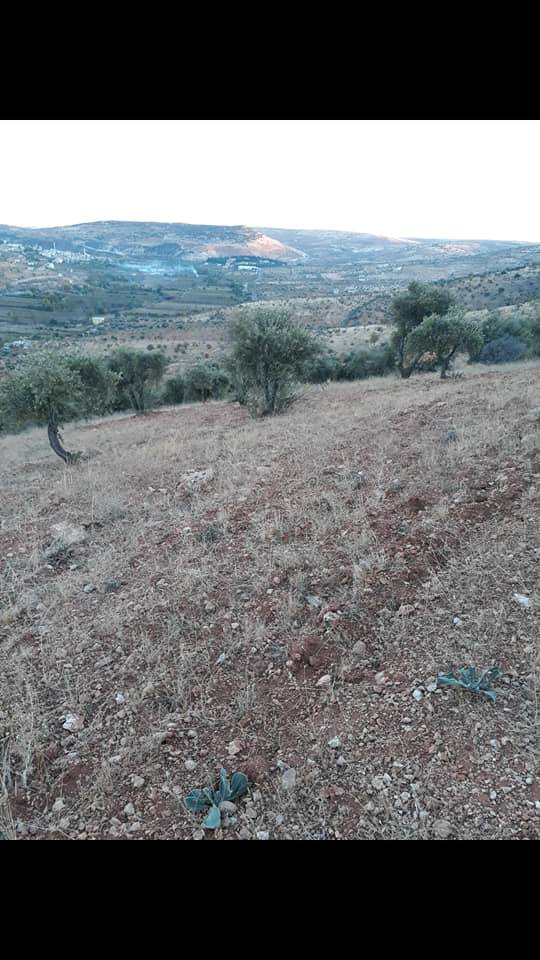 Nizip Adaklı Köyü Resimleri 3