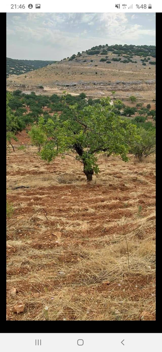Nizip Adaklı Köyü Resimleri 5
