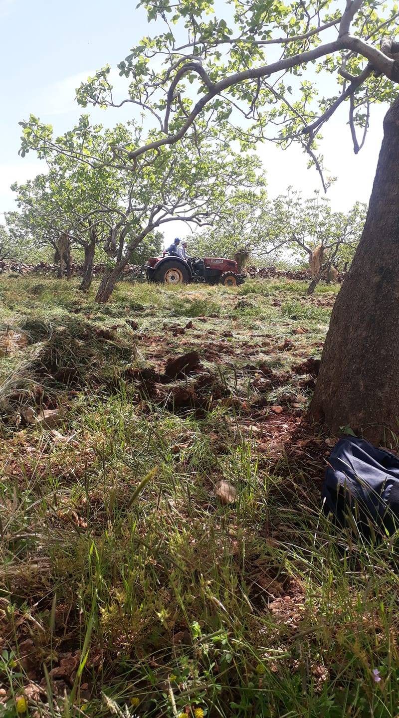 Nizip Alahacı Köyü Resimleri 4