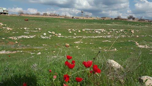 Derik Kanatlı Köyü Resimleri 5