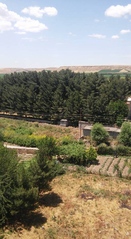 Batman Kocalar Köyü Resimleri 4