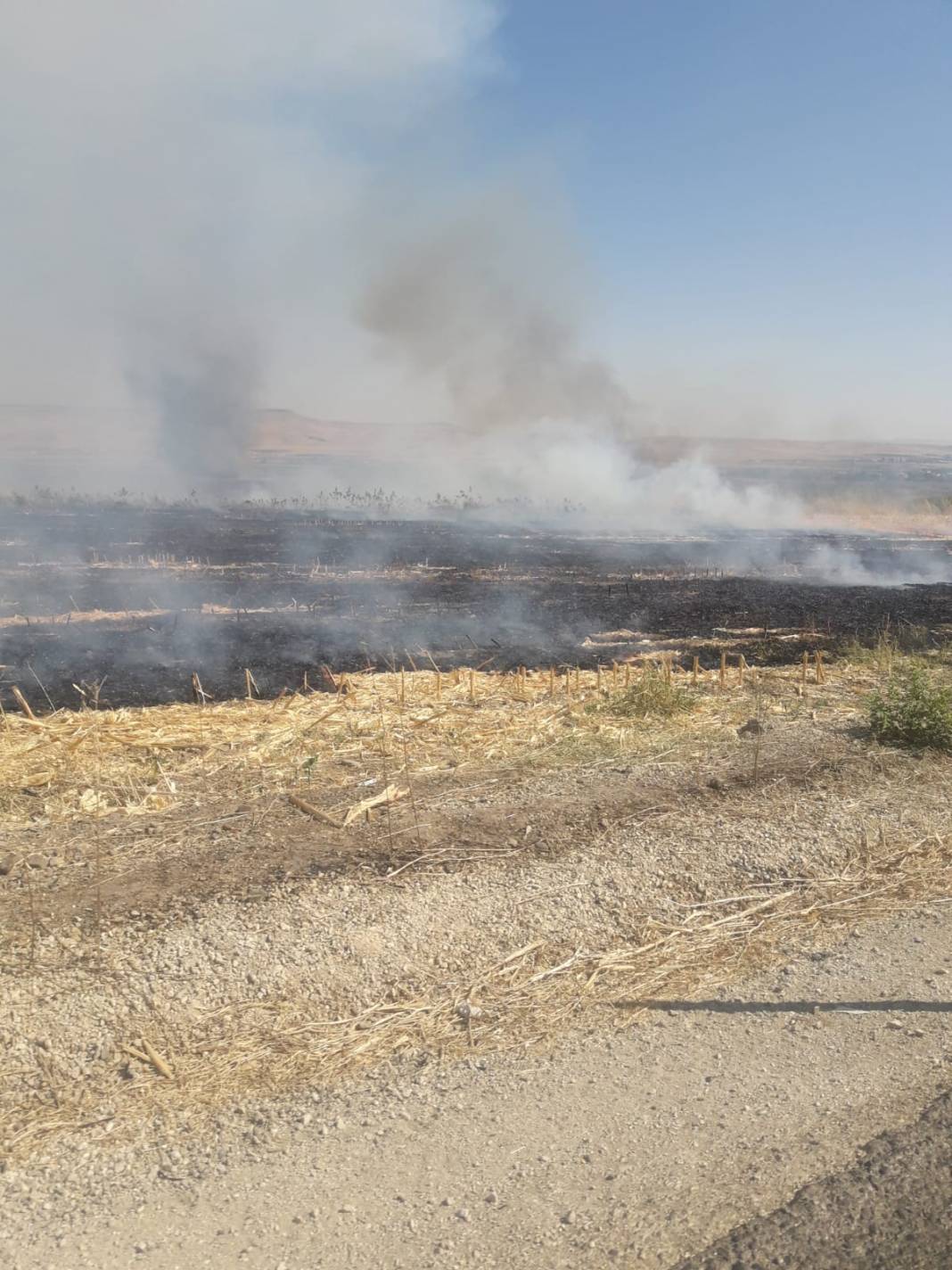 Batman Kocalar Köyü Resimleri 6