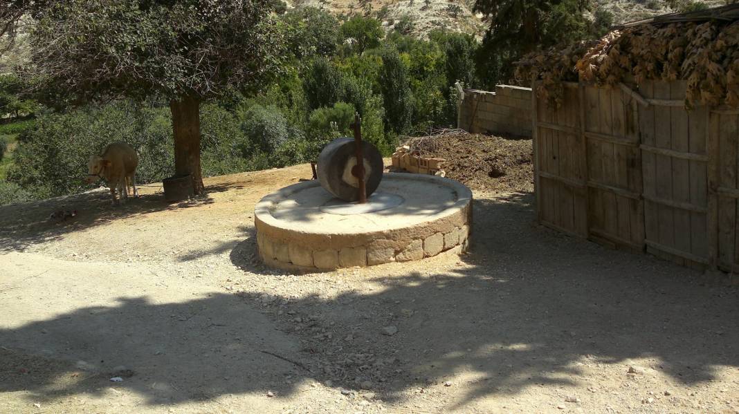 Nizip Aşağıçardak Köyü Resimleri 11