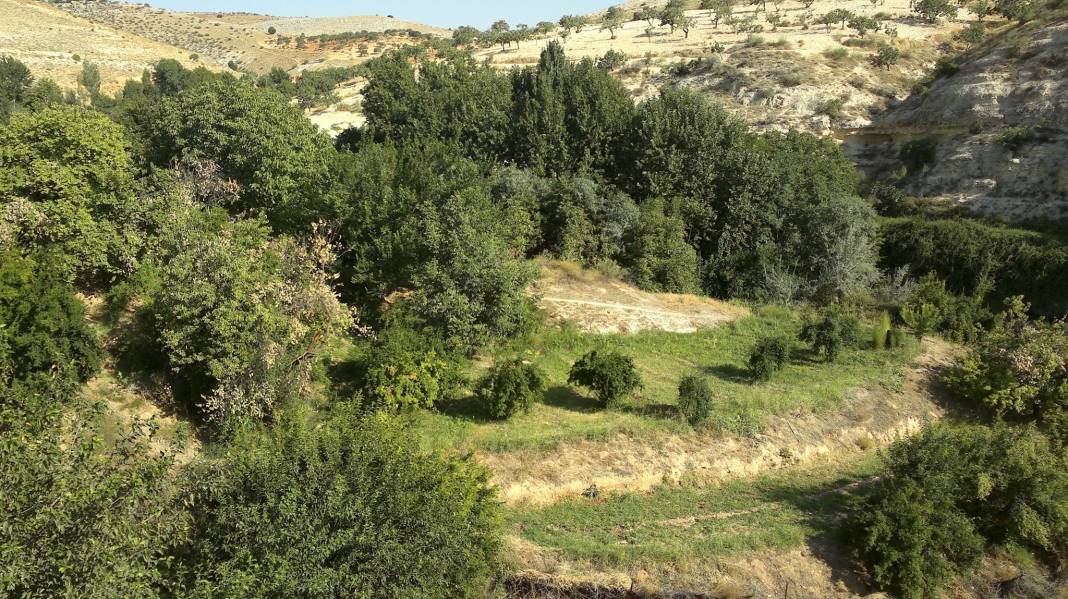 Nizip Aşağıçardak Köyü Resimleri 15