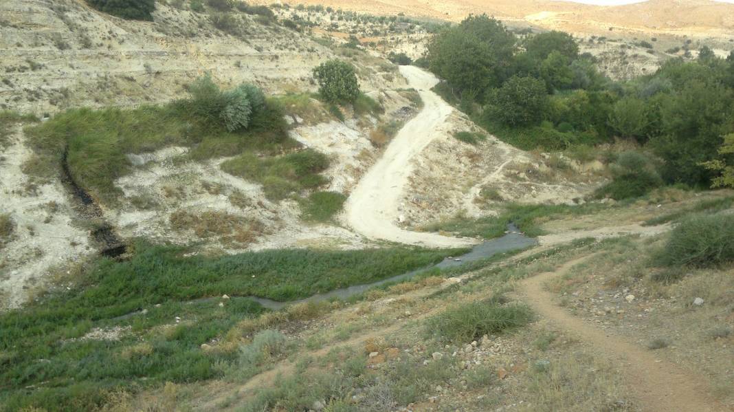 Nizip Aşağıçardak Köyü Resimleri 20