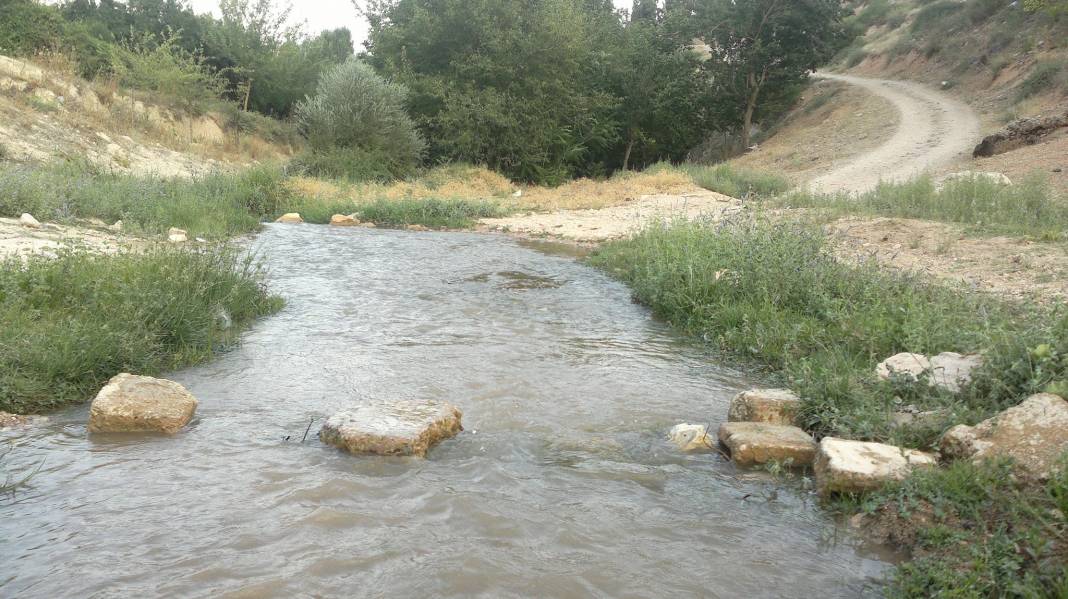 Nizip Aşağıçardak Köyü Resimleri 21