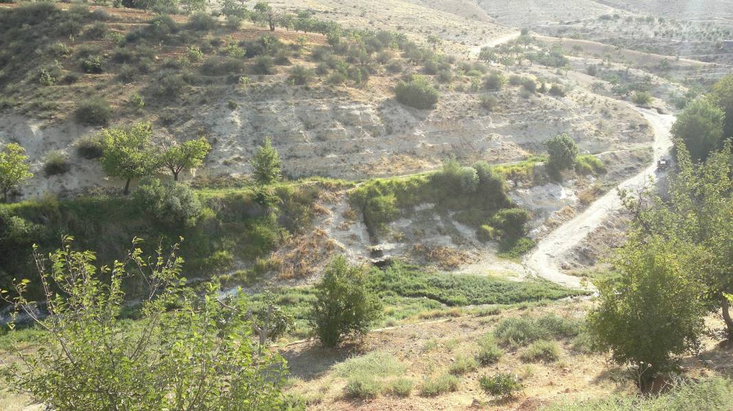 Nizip Aşağıçardak Köyü Resimleri 4