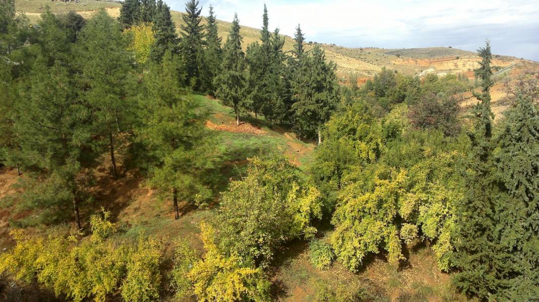 Nizip Aşağıçardak Köyü Resimleri 5