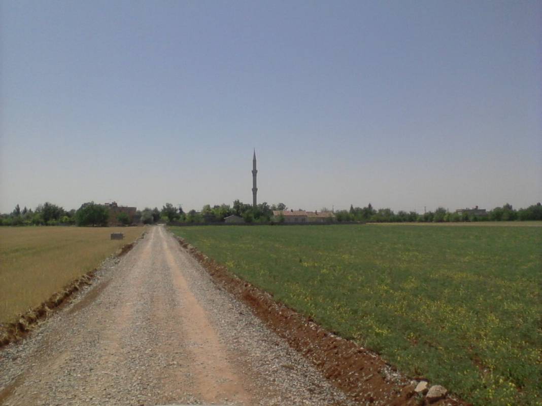 Nizip Bağlıca Köyü Resimleri 2