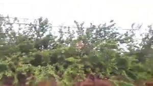 Battalgazi Furuncu Köyü Resimleri 3