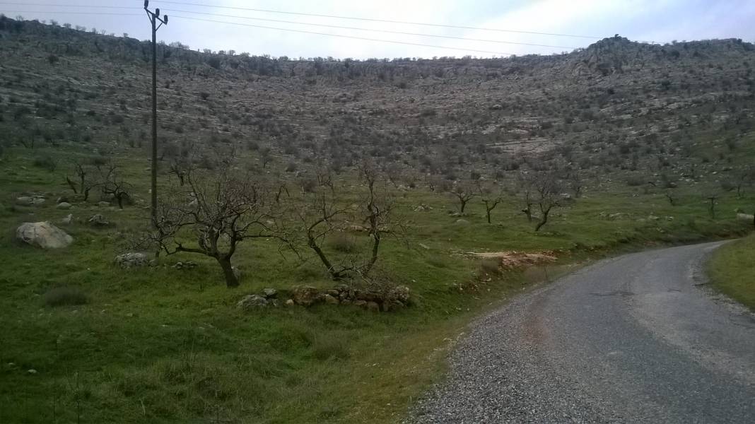 Nizip Ballı Köyü Resimleri 4