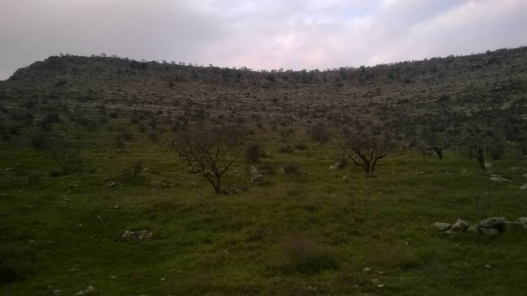 Nizip Ballı Köyü Resimleri 5