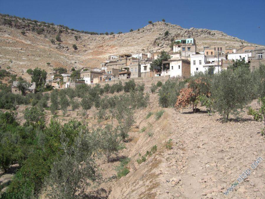 Nizip Ballı Köyü Resimleri 6