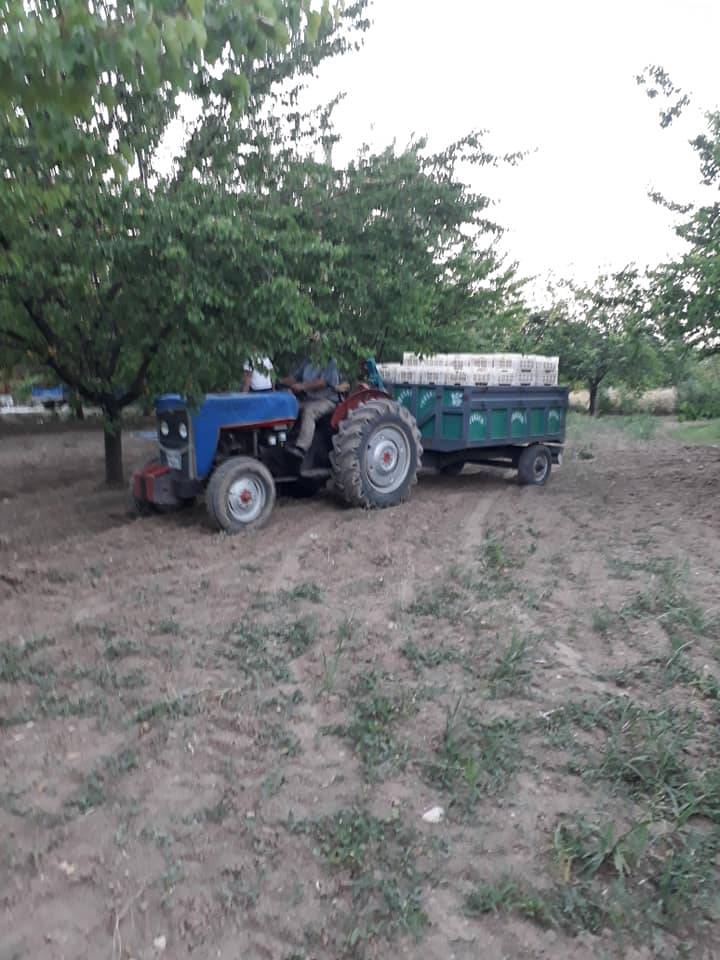 Battalgazi Hasırcılar Köyü Resimleri 5