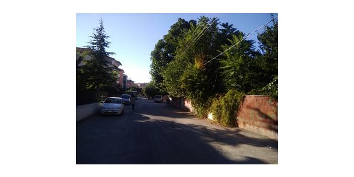 Battalgazi Hidayet Köyü Resimleri