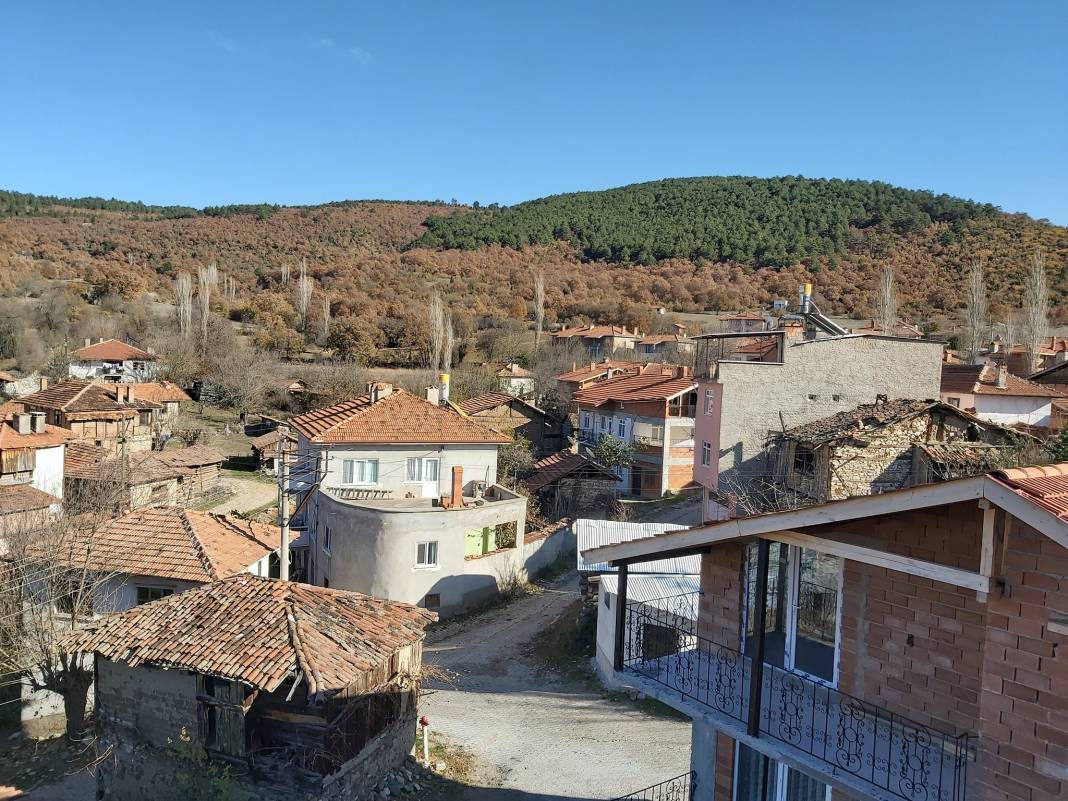 Domaniç Karamanlar Köyü Resimleri 11