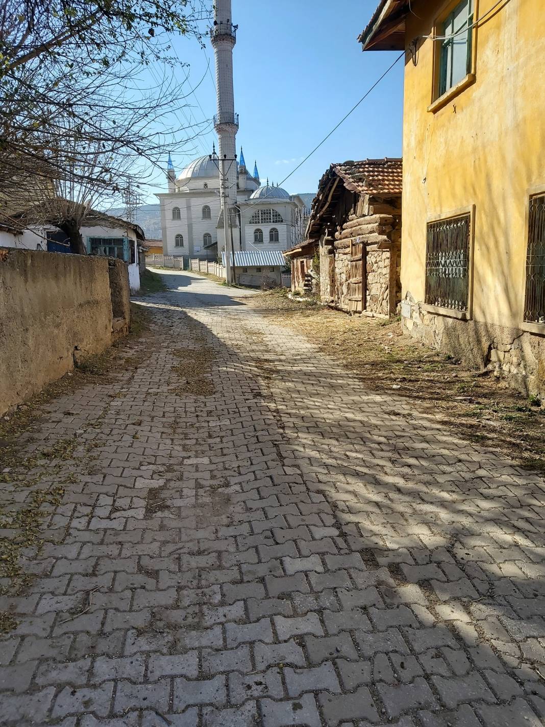 Domaniç Karamanlar Köyü Resimleri 12