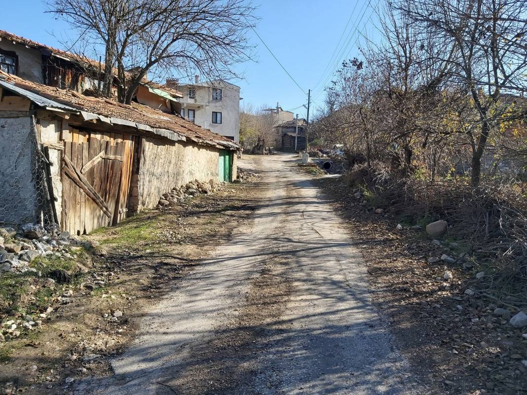 Domaniç Karamanlar Köyü Resimleri 13