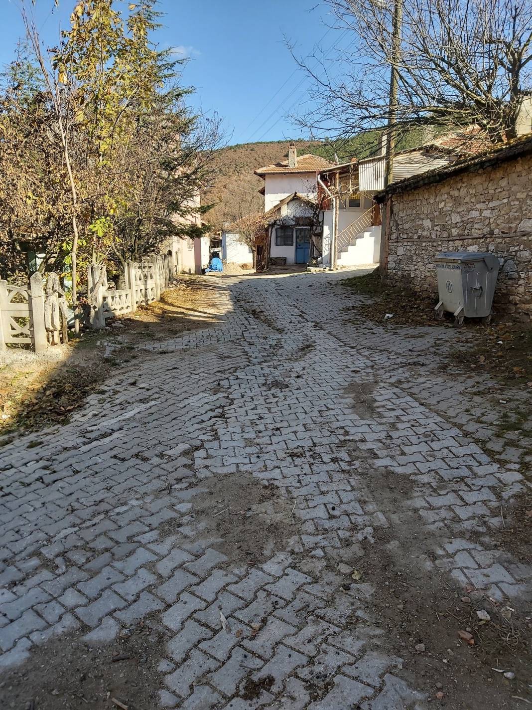 Domaniç Karamanlar Köyü Resimleri 14