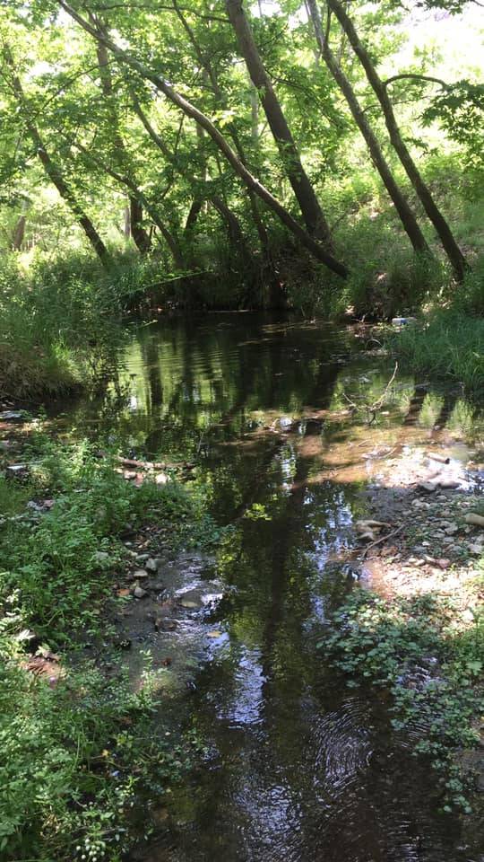 Domaniç Karamanlar Köyü Resimleri 5