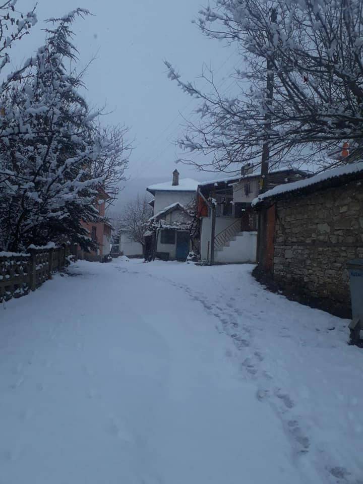 Domaniç Karamanlar Köyü Resimleri 7