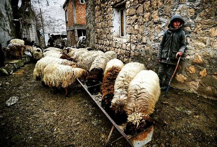 Batman Yağmurlu Köyü Resimleri 3