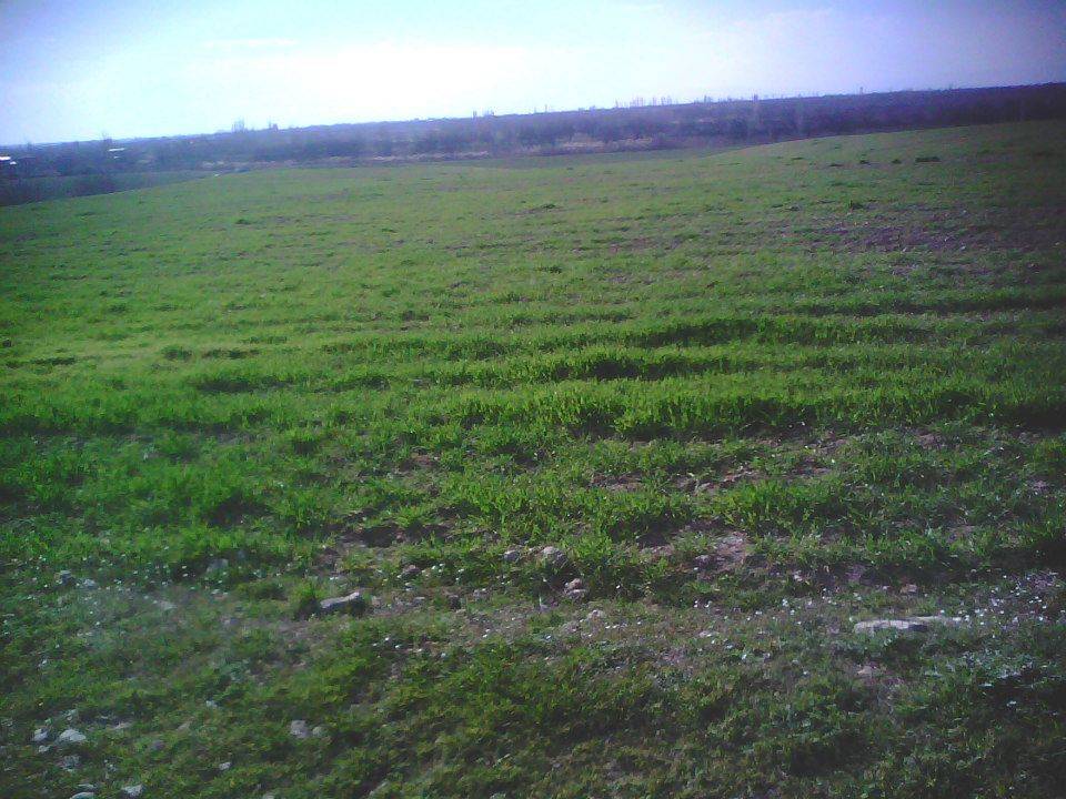 Battalgazi Kadıçayırı Köyü Resimleri 3