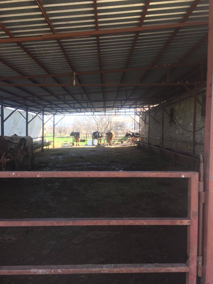 Battalgazi Kadıçayırı Köyü Resimleri 7