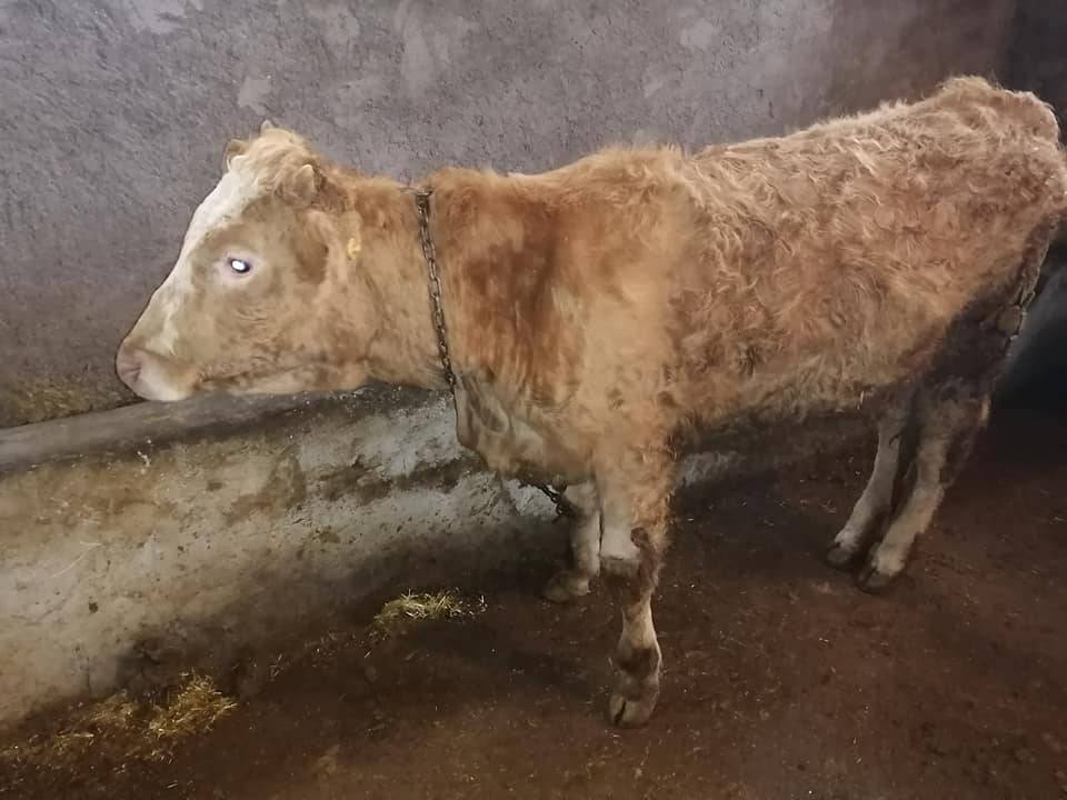 Battalgazi Kapıkaya Köyü Resimleri 1