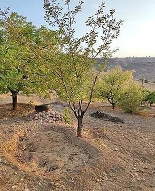 Battalgazi Karagöz Köyü Resimleri 2