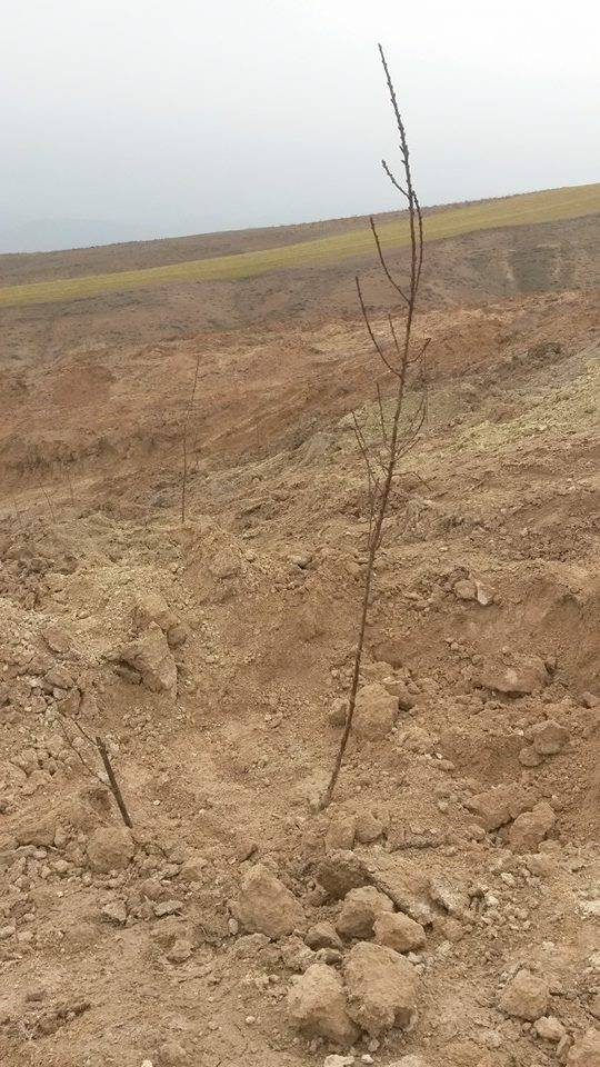 Battalgazi Karatepe Köyü Resimleri 1